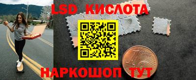 шишки Будённовск