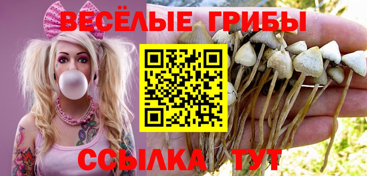 Галлюциногенные грибы ЛСД  Псилоцибиновые грибы GOLDEN TEACHER  Лесозаводск  Вход с VPN 